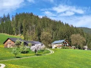 Biobauernhof Poidlbauer - 伊布斯河畔格施特灵