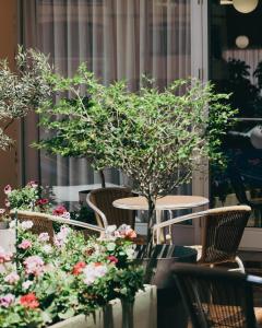 Hotels Hotel du Port : photos des chambres