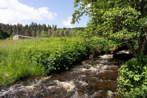 Maisons de vacances Afgelegen gite naast rivier omringd door bossen in bergachtige omgeving : photos des chambres