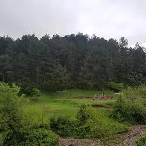 Ninos guest house - Dart'lo