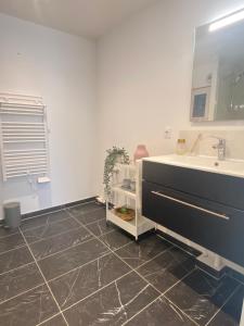 Appart'hotels Montana Bussy Saint Georges : Appartement 1 Chambre