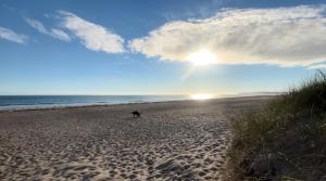Chambre indépendante chez l habitant dans le Cotentin
