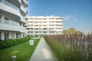 Tree Crown Sea Side Rogowo Pearl