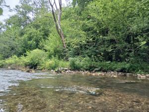 Lesnik vacation home