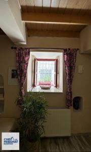 Chez Nebahat Boutique