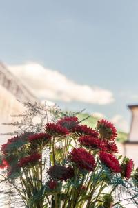 Appartamento - Cerenea House