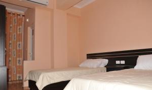 Budget Twin Room room in Hotel Lulishte