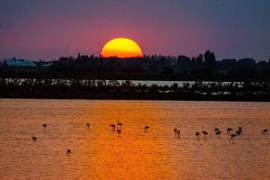 One-Bedroom Apartment Rosolina Mare near Sea 4