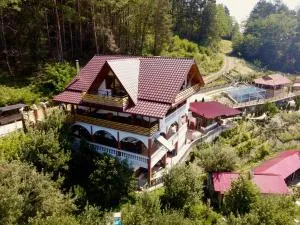 Vila Victoria - Pângărăcior