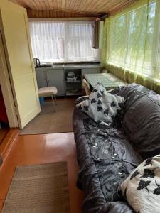 Vasaras mājiņa pie Rāznas ezera Nr 2