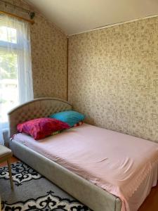 Vasaras mājiņa pie Rāznas ezera Nr 2