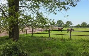 Lovely Home In Hellendoorn With Kitchen