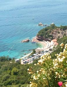 One-Bedroom Apartment with Balcony and Sea View (6 Adults) room in Apartments Dragišić