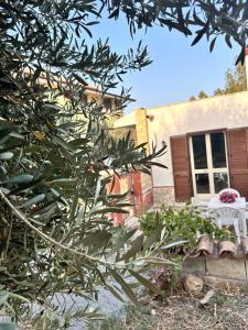 La Dimora degli ulivi