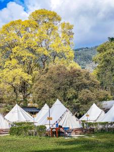 Inthanon Mountain Camp