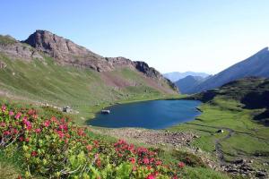 Appartements L-Escapade Montagneuse : photos des chambres