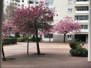 Appartements Apt 2 pieces, vue admirable, localisation exceptionnelle a 20 mn de Paris : photos des chambres