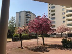 Appartements Apt 2 pieces, vue admirable, localisation exceptionnelle a 20 mn de Paris : photos des chambres