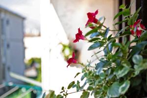 Superior One-Bedroom Apartment with Balcony