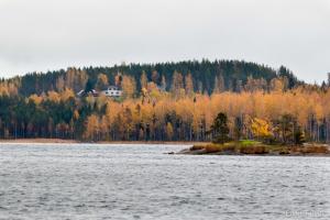 Metsäsydän huonemajoitus