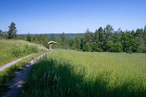 Metsäsydän huonemajoitus