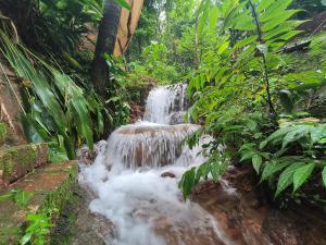 Greek "Jungle Villa", with private Waterfall and Pool