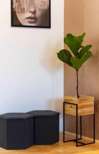 Gozsdu White Raven 3 - terrace and free underground parking