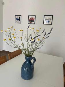 Villa Mi, Rukavac Opatija Riviera