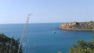 Donna Pulina Holidays - بولينا