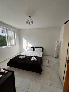 Holiday home in Kranevo