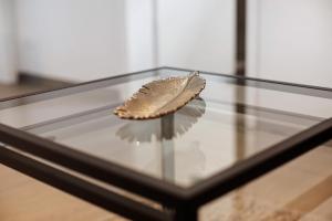 Schönes Apartment am Kaiserstuhl