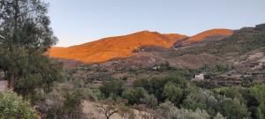 Off grid guesthouse - Puerto Mika - Casa Lucía