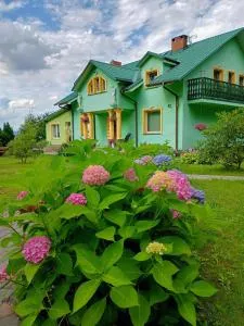 W zieleni - Studzienno