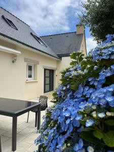 Maisons de vacances La Metairina : photos des chambres