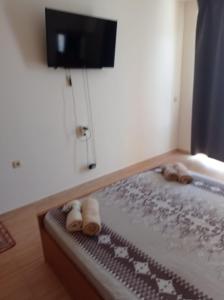 Двустаен апартамент "Аква Дриймс" с 300 м до море