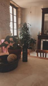 Appartement lumineux Marseille centre