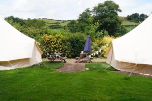 Dartmoor Halfway Campsite