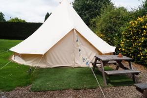 Dartmoor Halfway Campsite