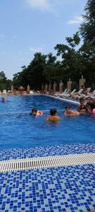Piacere in Gonio