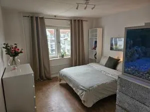 Central Room with Private Entrance and Ensuite Bathroom - Sundbyberg