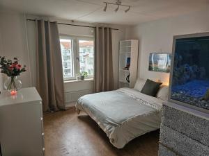 Central Room with Private Entrance and Ensuite Bathroom