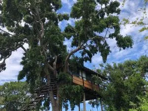 Eagle Eye Yala - كالكادوفا