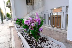 Kastella Bohemian Pied a Terre