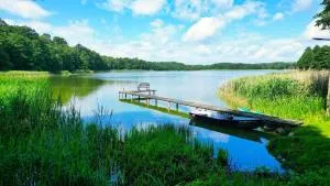 Cisowa Ostoja - Wysoka