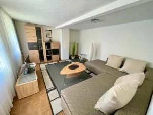 Apartment Rosa - Weisbach