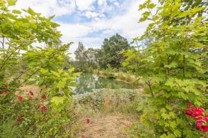 Maisons de vacances Le Clos des Vignes : photos des chambres