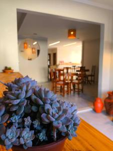 Pousada Coco Babaçu