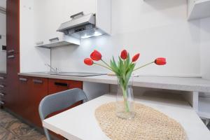 Primopiano - Torricelli