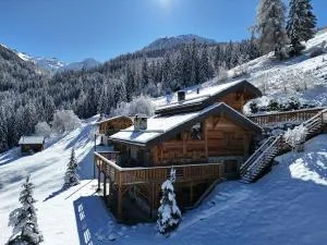 Chalet La Poya - Riddes