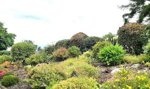 Farnaught Farmhouse Apartment, Lough Rynn, Mohill